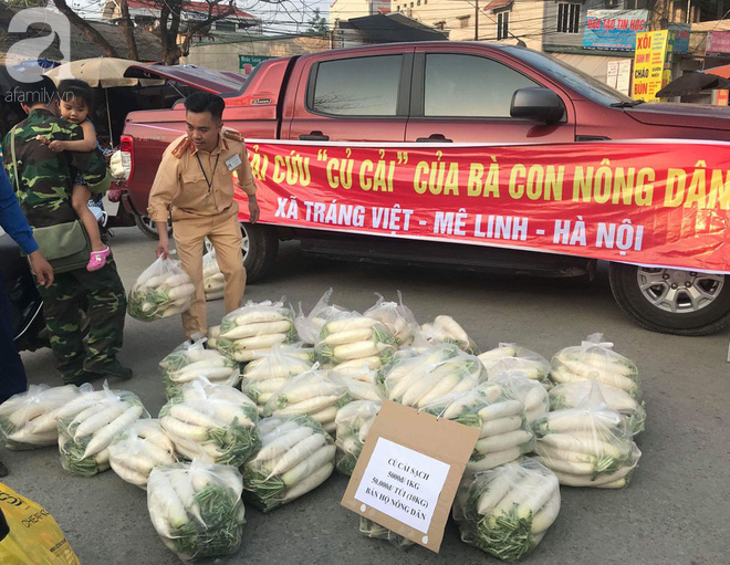 Hà Nội: CSGT giải cứu củ cải cho bà con nông dân Tráng Việt - Ảnh 3. Hà Nội: CSGT 'giải cứu' củ cải cho bà con nông dân Tráng Việt 3