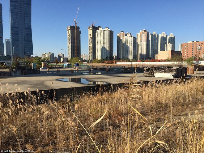 Hàn Quốc chi 40 tỷ USD biến thị trấn hoang thành thành phố thông minh - Ảnh 5.