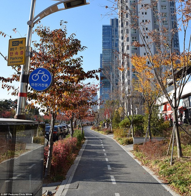Hàn Quốc chi 40 tỷ USD biến thị trấn hoang thành thành phố thông minh - Ảnh 7.
