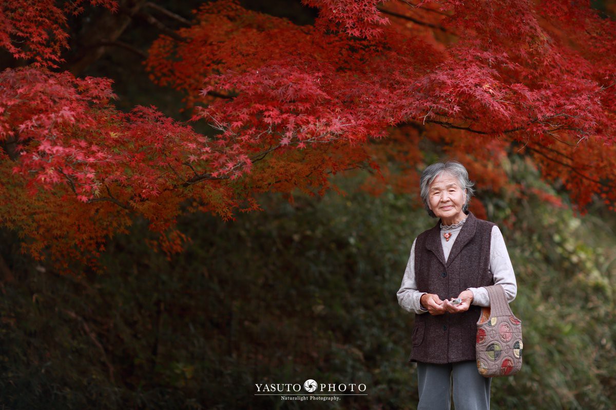 Giữ lời hứa chụp bà và chú chó dưới tầng hoa anh đào, câu chuyện của nhiếp ảnh gia Nhật Bản khiến bao người thổn thức 5