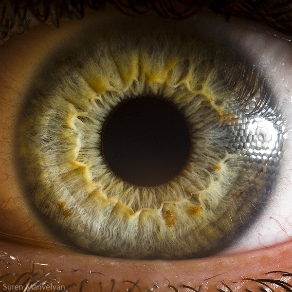 Tiết lộ 5 sự thật về tính cách và sức khỏe qua màu mắt mà khoa học nói “chắc như đinh đóng cột” - Ảnh 5.