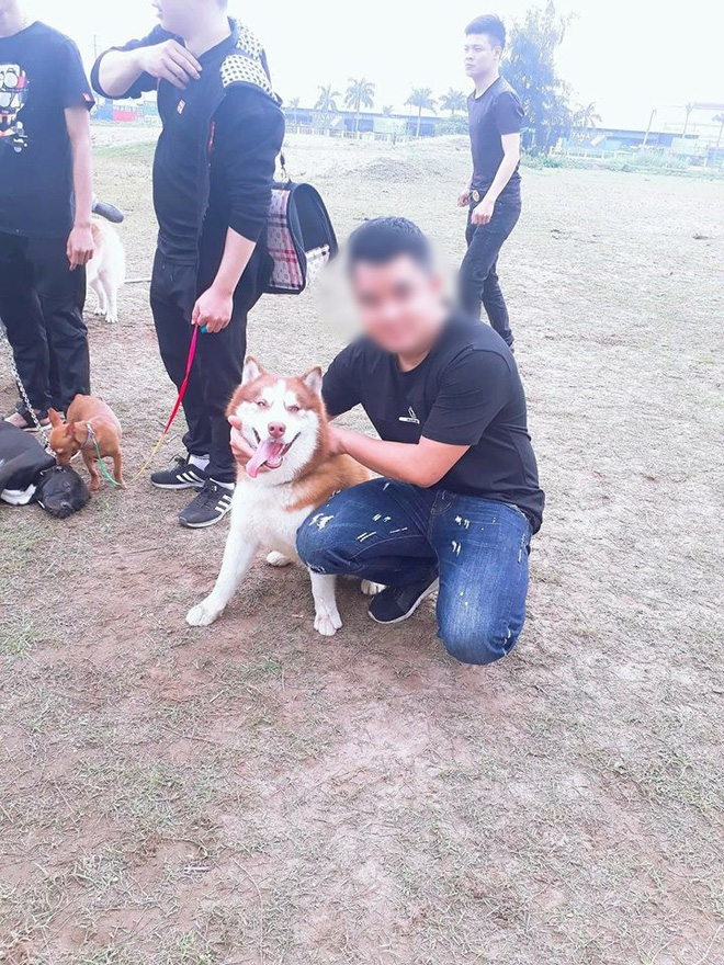 Vừa quen được 1 tháng, cô gái đã bị bạn trai bắt trộm cả 4 chú chó cưng Husky, nhắn tin đòi thì bị dọa tung clip nóng 3 Vừa quen được 1 tháng, cô gái đã bị bạn trai bắt trộm cả 4 chú chó cưng Husky, nhắn tin đòi thì bị dọa tung clip nóng 3