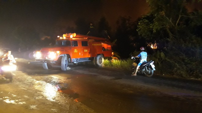 Đang cháy lớn tại rừng tràm ở huyện Bình Chánh, TP. HCM - Ảnh 3. Đang cháy lớn tại rừng tràm ở huyện Bình Chánh, TP. HCM 3