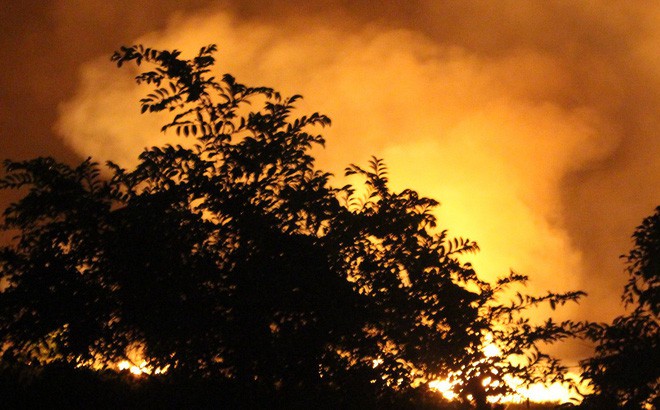 Đang cháy lớn tại rừng tràm ở huyện Bình Chánh, TP. HCM - Ảnh 1.