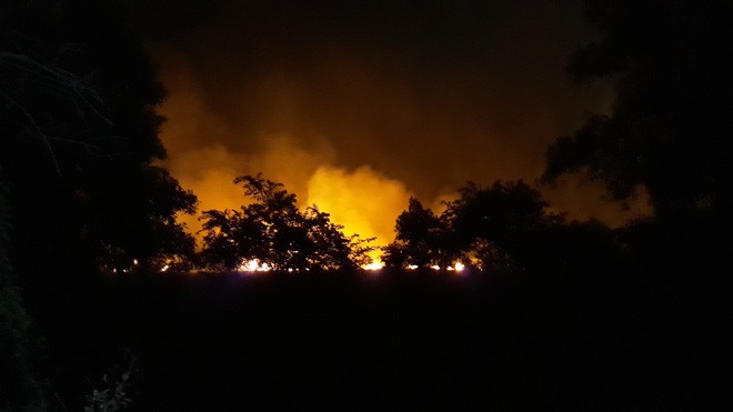 Đang cháy lớn tại rừng tràm ở huyện Bình Chánh, TP. HCM - Ảnh 4.