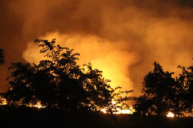 Đang cháy lớn tại rừng tràm ở huyện Bình Chánh, TP. HCM 9