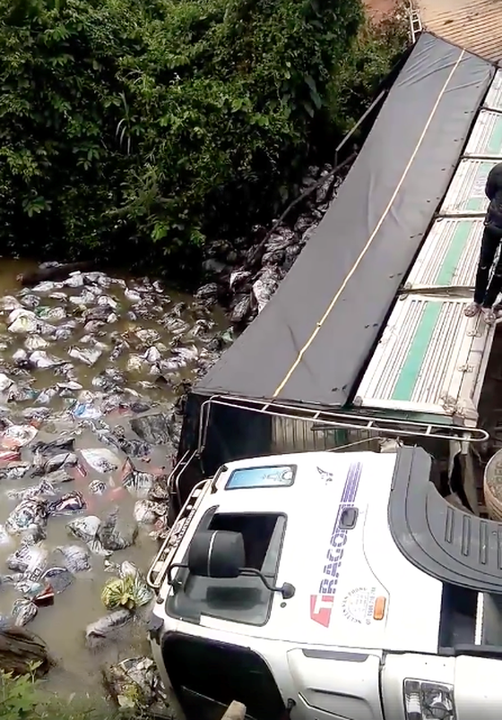 Sập cầu ở Lâm Đồng, xe tải hàng chục tấn rơi xuống sông - Ảnh 1.