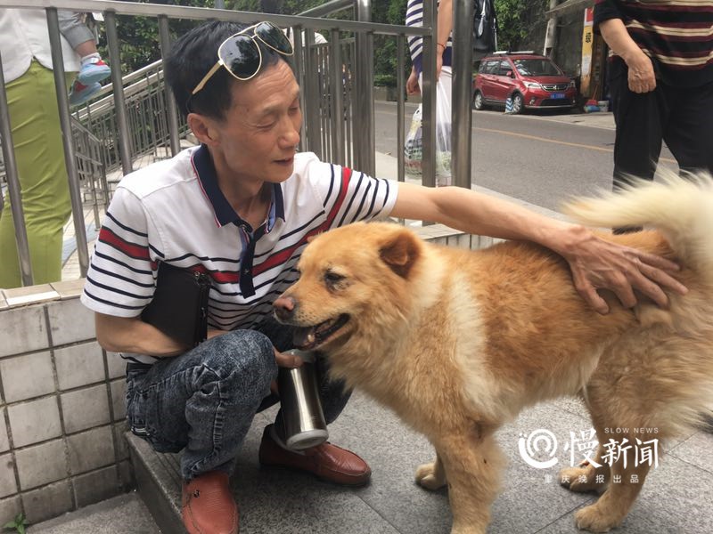 Chú chó già đến ga tàu để đợi chủ trở về mỗi ngày suốt gần 8 năm ròng gây sốt mạng xã hội Trung Quốc - Ảnh 4.