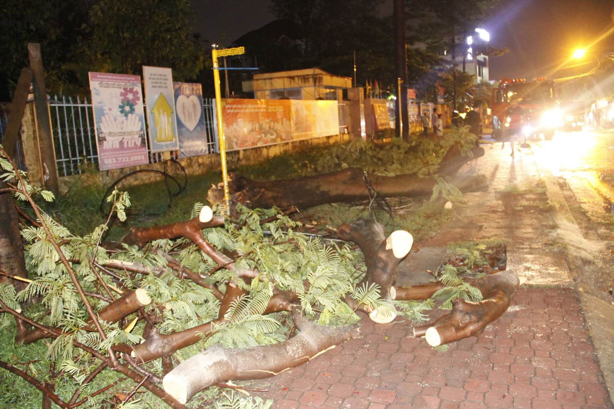 Mưa lớn kèm gió lốc khiến cây cổ thụ ngã đổ kéo gãy cột điện, hàng trăm người dân Sài Gòn sống trong bóng tối - Ảnh 2.