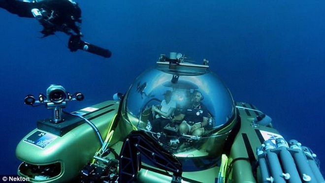 Bí ẩn sinh vật tại đáy biển Bermuda: Giới khoa học chưa từng thấy bao giờ - Ảnh 4.