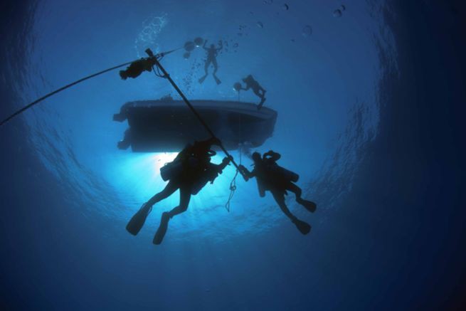 Bí ẩn sinh vật tại đáy biển Bermuda: Giới khoa học chưa từng thấy bao giờ - Ảnh 2.