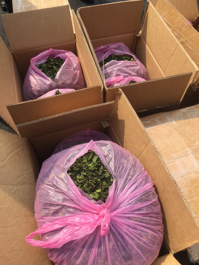 Phát hiện container chứa 2,5 tấn ma túy Khát cực độc nhập lậu vào Việt Nam  3