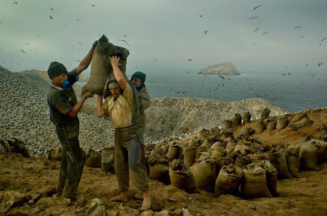 Hành trình khắc nghiệt tại hòn đảo làm giàu bằng phân chim, tạo cơn sốt khắp châu Âu - Ảnh 2.