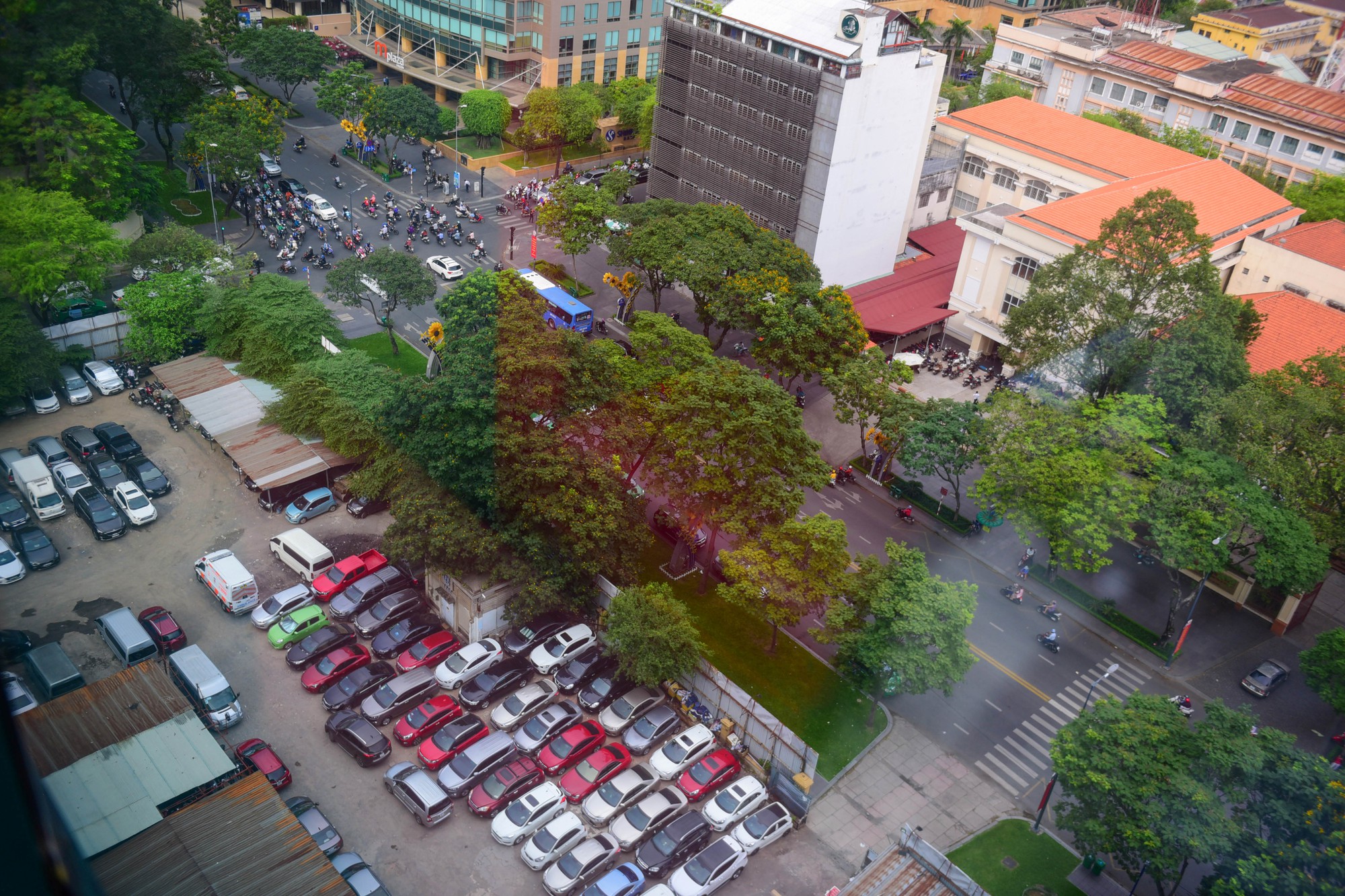 Cận cảnh khu đất vàng 5.000 m2 giữa Sài Gòn được cho thuê giá rẻ mạt 9