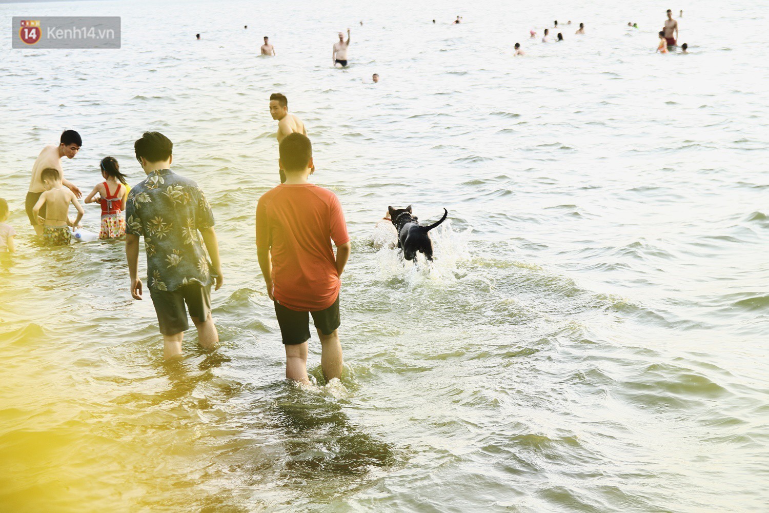 Nắng nóng oi bức, người dân Thủ đô bế chó cưng ra Hồ Tây cùng tắm để giải nhiệt dù có biển cấm 14