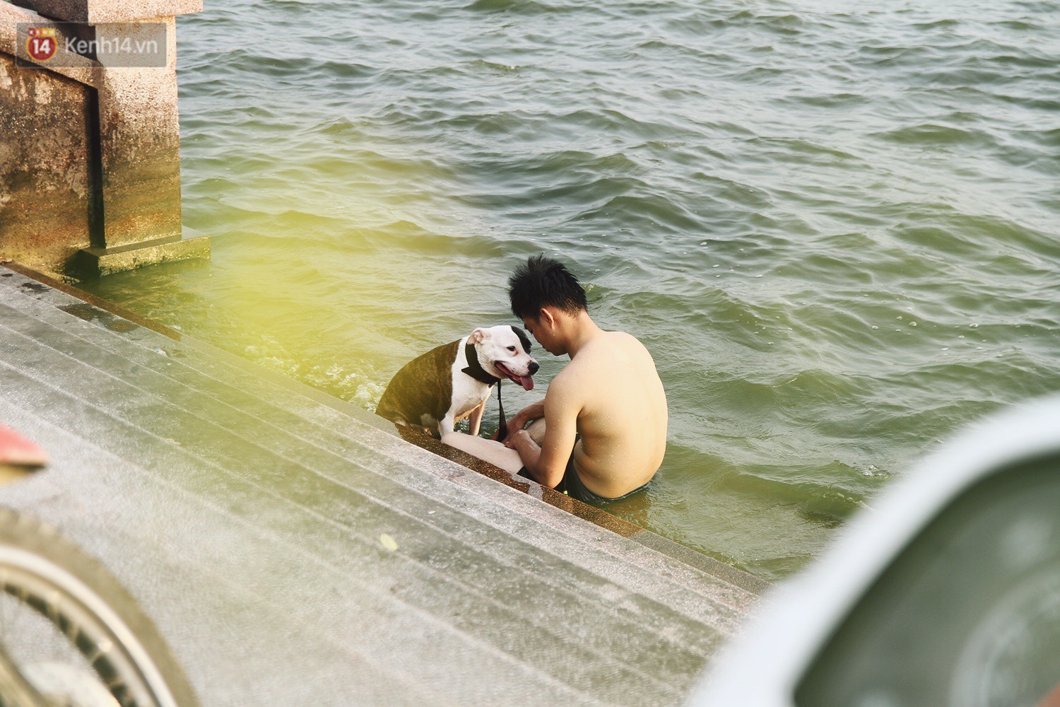 Nắng nóng oi bức, người dân Thủ đô bế chó cưng ra Hồ Tây cùng tắm để giải nhiệt dù có biển cấm - Ảnh 14.
