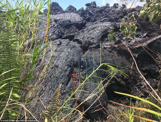 Hawaii cảnh báo đỏ: Núi lửa hoạt động mạnh, cột khói cao đến hơn 3.600m - Ảnh 6.