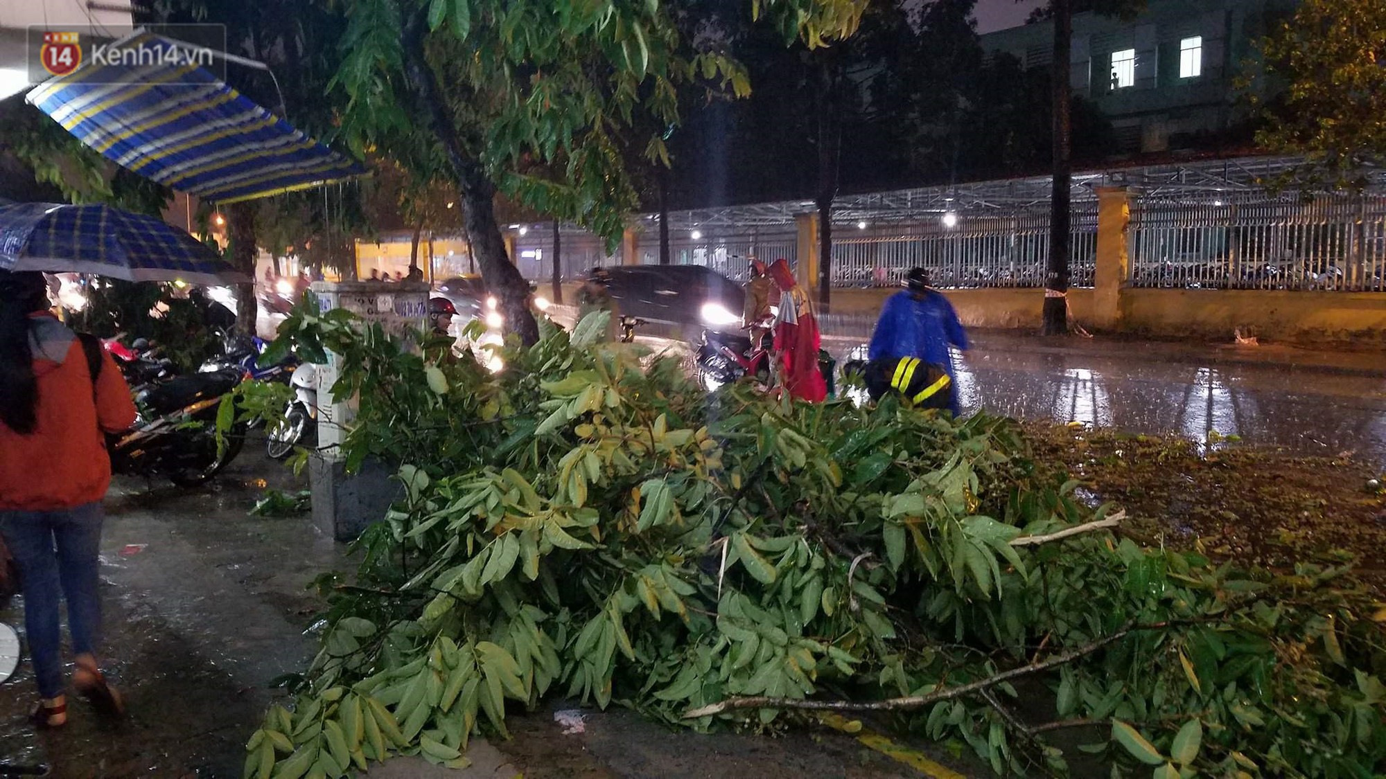 TP. HCM: Mưa lớn kèm sấm chớp, gió giật mạnh quật cây xanh ngã đổ, nhiều tuyến đường biến thành sông - Ảnh 8.