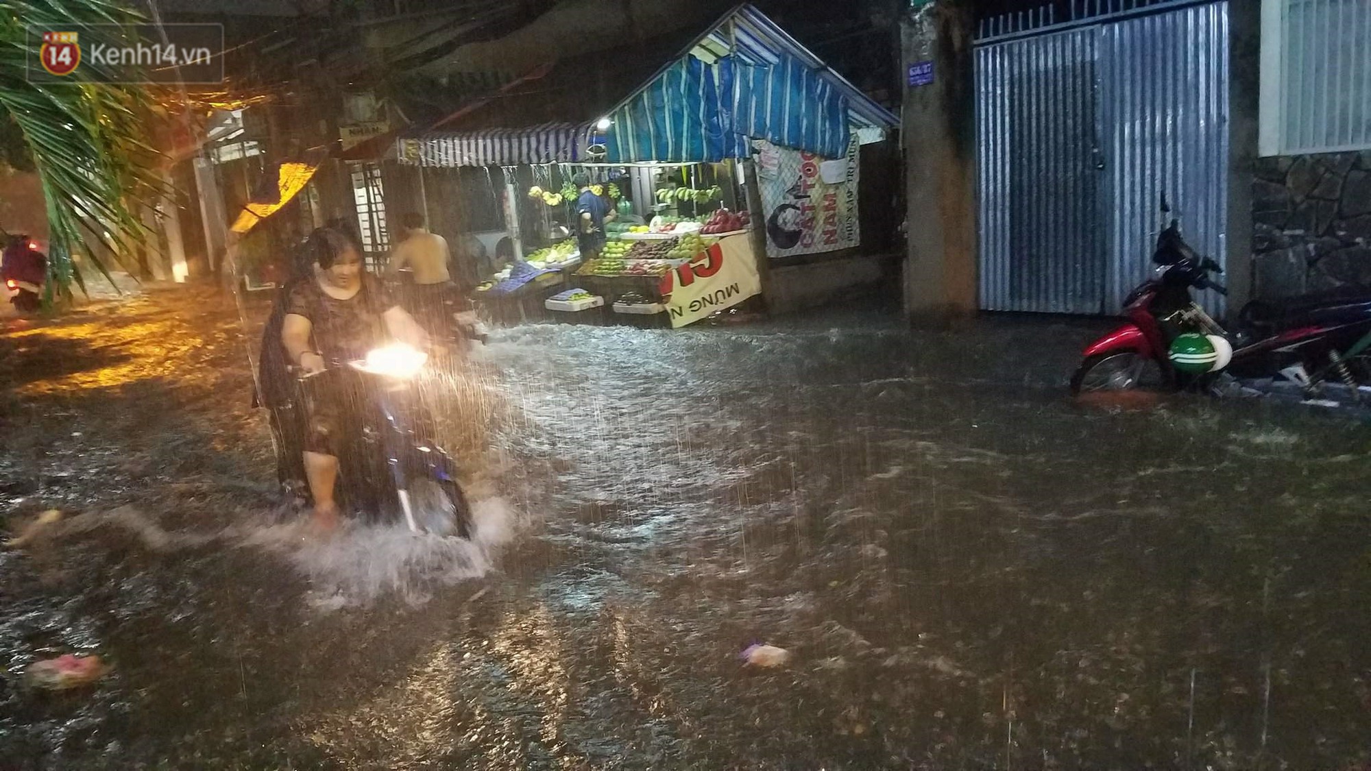 TP. HCM: Mưa lớn kèm sấm chớp, gió giật mạnh quật cây xanh ngã đổ, nhiều tuyến đường biến thành sông - Ảnh 3.