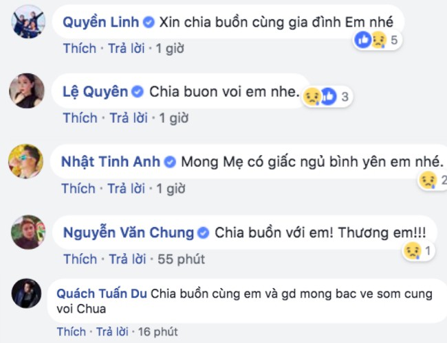 Nghệ sĩ Việt động viên, chia buồn khi hay tin mẹ Vy Oanh vừa qua đời - Ảnh 2.