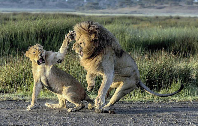 24h qua ảnh: Sư tử cái điên tiết tát thẳng mặt bạn tình lúc cãi nhau - Ảnh 3.