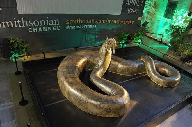 Quái vật nặng 1 tấn Titanoboa: Duy nhất 1 nơi trên Trái Đất có hóa thạch của nó - ở đâu? - Ảnh 5. Quái vật nặng 1 tấn Titanoboa: Duy nhất 1 nơi trên Trái Đất có hóa thạch của nó - ở đâu? 4