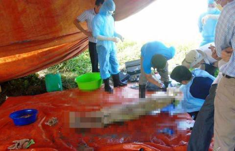 Vụ khai quật thi thể nữ kế toán trưởng: Thêm tình tiết bất thường tại phòng của nạn nhân - Ảnh 3. Vụ khai quật thi thể nữ kế toán trưởng: Thêm tình tiết bất thường tại phòng của nạn nhân 3