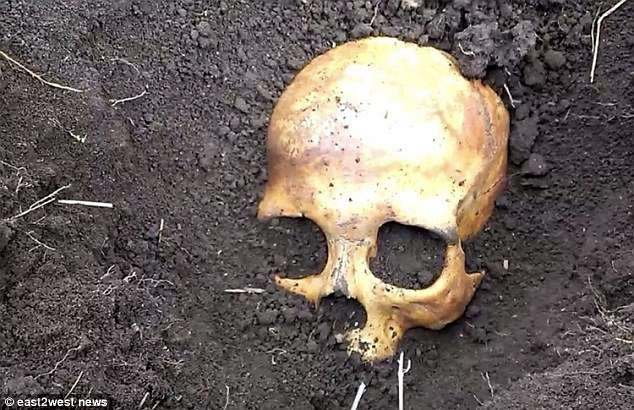 Đào được hộp sọ khi đang làm vườn, chú nông dân Nga sợ mất mật khi vợ bảo 'Chồng cũ em đấy, chôn lại đi anh' 1