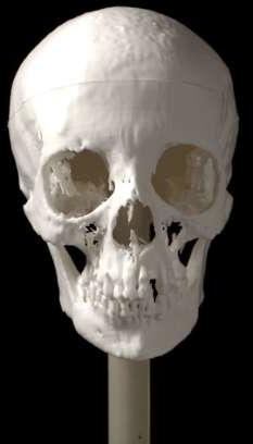 Dùng công nghệ mới dựng lại mặt xác ướp của một mỹ nhân Ai Cập và đây là kết quả - Ảnh 3.