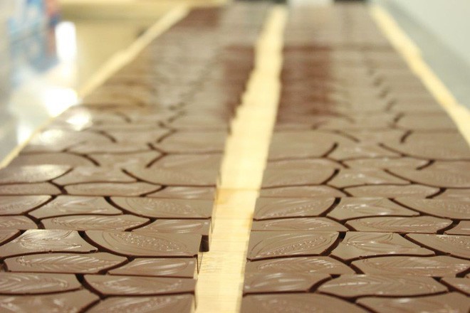 Hành trình biến hạt ca cao thành món chocolate vạn người mê qua lời kể của người thợ lành nghề - Ảnh 17.
