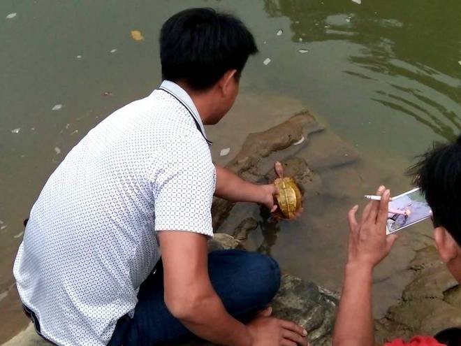 Thấy hai thanh niên mang 'rùa vàng' từ rừng ra, người dân mua rồi thả về tự nhiên 3
