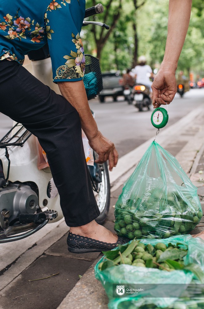 Mùa sấu về trên phố phường Hà Nội: Nhóm thợ đánh giày tranh thủ Mùa sấu về trên phố phường Hà Nội: Nhóm thợ đánh giày tranh thủ