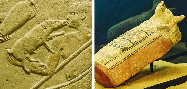 Sự thật không tưởng về con người thời kỳ Ai Cập cổ đại, cái số 3 ngày nay ai cũng mong sở hữu - Ảnh 4.