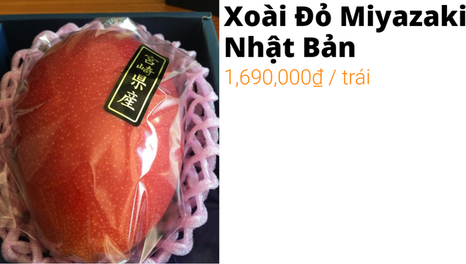 Xoài đỏ 1,7 triệu đồng/quả: Nhà giàu Việt mạnh tay chi tiền thưởng thức - Ảnh 2.