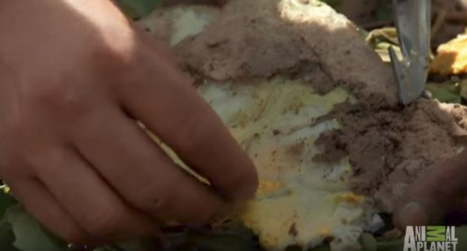 Nhờ nấu giúp quả trứng đà điểu, người đàn ông đinh ninh bà lão sẽ dùng chảo không ngờ bà đổ hết trứng lên cát - Ảnh 9.