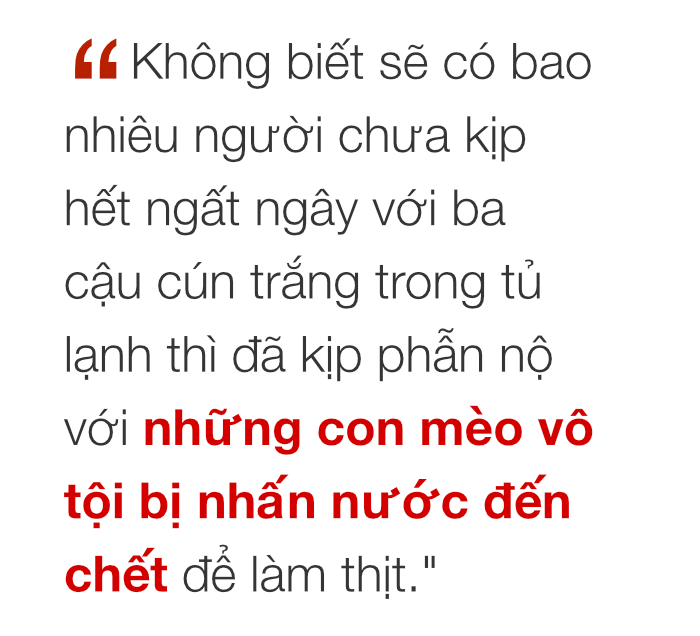 Chuyện ở những đất nước mà chó mèo có hai số phận: Được cưng chiều hết mực, hoặc oặt mình trong lồng cũi tới bàn tiệc - Ảnh 9. Chuyện ở những đất nước mà chó mèo có hai số phận: Được cưng chiều hết mực, hoặc oặt mình trong lồng cũi tới bàn tiệc 14