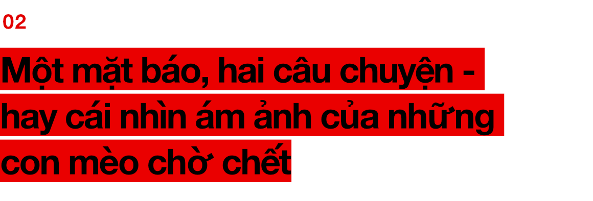 Chuyện ở những đất nước mà chó mèo có hai số phận: Được cưng chiều hết mực, hoặc oặt mình trong lồng cũi tới bàn tiệc - Ảnh 7. Chuyện ở những đất nước mà chó mèo có hai số phận: Được cưng chiều hết mực, hoặc oặt mình trong lồng cũi tới bàn tiệc 12