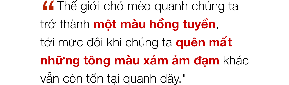 Chuyện ở những đất nước mà chó mèo có hai số phận: Được cưng chiều hết mực, hoặc oặt mình trong lồng cũi tới bàn tiệc - Ảnh 6. Chuyện ở những đất nước mà chó mèo có hai số phận: Được cưng chiều hết mực, hoặc oặt mình trong lồng cũi tới bàn tiệc 11