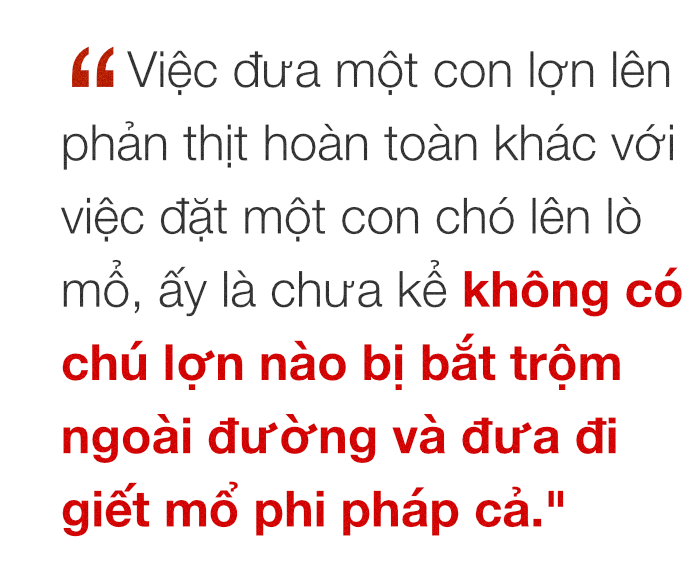 Chuyện ở những đất nước mà chó mèo có hai số phận: Được cưng chiều hết mực, hoặc oặt mình trong lồng cũi tới bàn tiệc - Ảnh 12. Chuyện ở những đất nước mà chó mèo có hai số phận: Được cưng chiều hết mực, hoặc oặt mình trong lồng cũi tới bàn tiệc 17