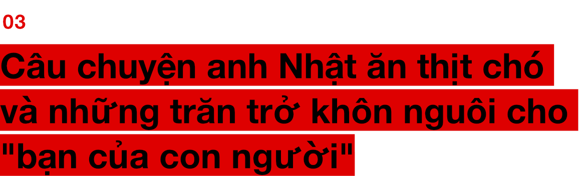 Chuyện ở những đất nước mà chó mèo có hai số phận: Được cưng chiều hết mực, hoặc oặt mình trong lồng cũi tới bàn tiệc - Ảnh 11. Chuyện ở những đất nước mà chó mèo có hai số phận: Được cưng chiều hết mực, hoặc oặt mình trong lồng cũi tới bàn tiệc 16