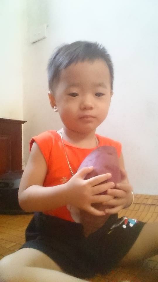 Góc khéo tay: Thanh niên Hà Nội trồng khoai trong thùng xốp chơi chơi, ai ngờ ra củ béo múp xịn hơn ngoài chợ - Ảnh 5.