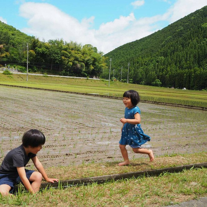 Ngôi nhà nhỏ và cuộc sống đơn sơ của gia đình Nhật Bản ở làng quê khiến bao người ngưỡng mộ 17