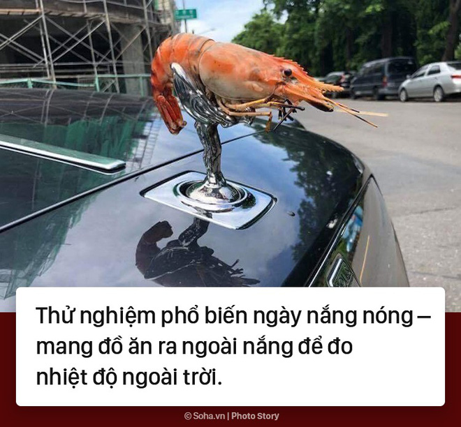 Sống chung với Hà Nội 40 độ là như thế nào? - Ảnh 10. Sống chung với Hà Nội 40 độ là như thế nào? 10