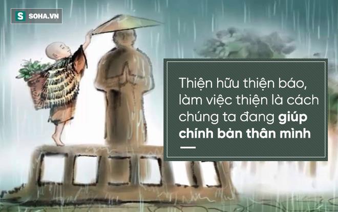 Chàng trai bỏ tất cả số tiền mình có ra mua 5 con rùa, ngay đêm đó điều bất ngờ đã xảy ra - Ảnh 3.