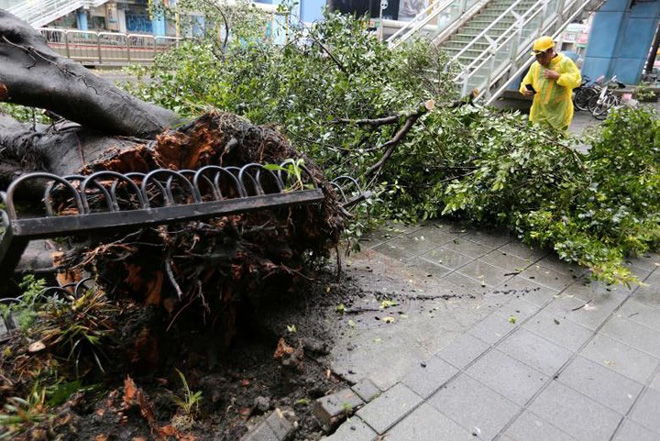 Hình ảnh bão Maria dữ dội tấn công Trung Quốc 6