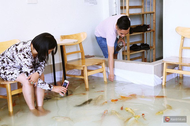 Chủ quán cafe Sài Gòn cho khách cởi giày, ngâm chân dưới hồ cá: 'Có nội quy cho khách, chúng tôi còn cử 8 nhân viên túc trực 24/24 theo dõi cá' 12