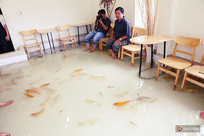 Chủ quán cafe Sài Gòn cho khách cởi giày, ngâm chân dưới hồ cá: Có nội quy cho khách, chúng tôi còn cử 8 nhân viên túc trực 24/24 theo dõi cá - Ảnh 14.