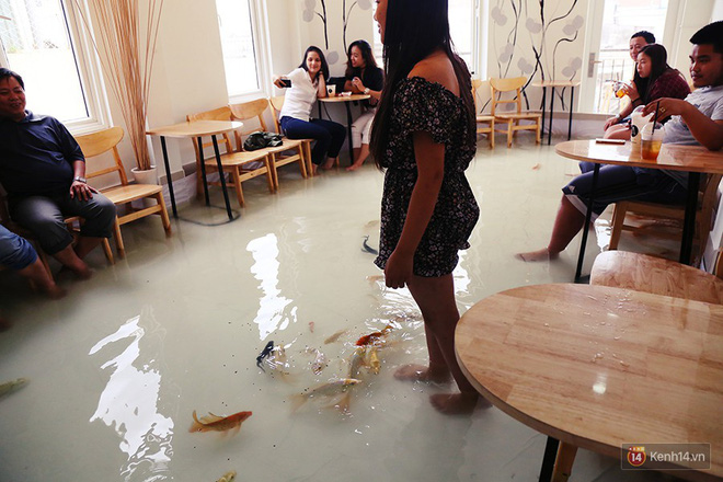 Chủ quán cafe Sài Gòn cho khách cởi giày, ngâm chân dưới hồ cá: Có nội quy cho khách, chúng tôi còn cử 8 nhân viên túc trực 24/24 theo dõi cá - Ảnh 4.