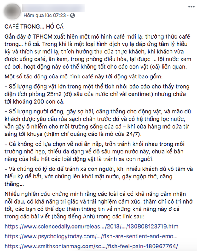 Chủ quán cafe Sài Gòn cho khách cởi giày, ngâm chân dưới hồ cá: Có nội quy cho khách, chúng tôi còn cử 8 nhân viên túc trực 24/24 theo dõi cá - Ảnh 9. Chủ quán cafe Sài Gòn cho khách cởi giày, ngâm chân dưới hồ cá: 'Có nội quy cho khách, chúng tôi còn cử 8 nhân viên túc trực 24/24 theo dõi cá' 9