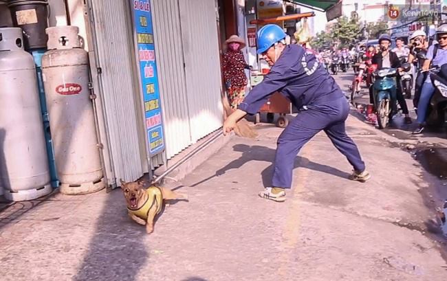 Sau chiến dịch vỉa hè, ông Đoàn Ngọc Hải muốn bắt chó thả rông ở quận 1 1 Sau chiến dịch vỉa hè, ông Đoàn Ngọc Hải muốn bắt chó thả rông ở quận 1 1